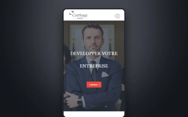 Aperçu du site Carthage Audit