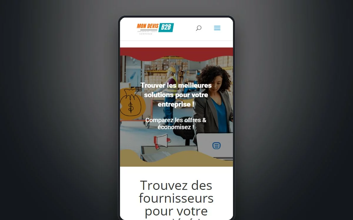 Aperçu du site Mon Devis B2B